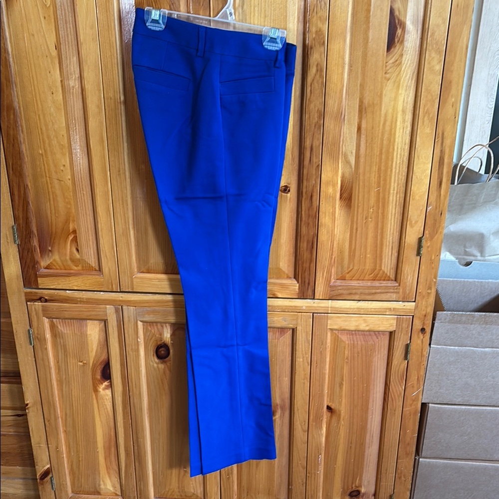 Express Blue Chino Low Rise Pants
